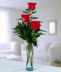 como conservar las rosas frescas por mas tiempo-5