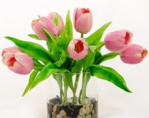 como conservar tulipanes