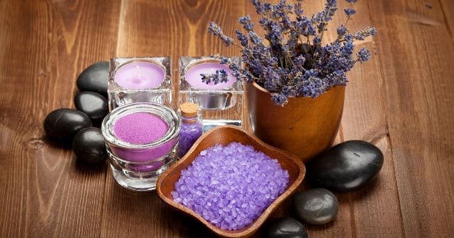 Lavándula Angustifolia o Lavanda Espliego