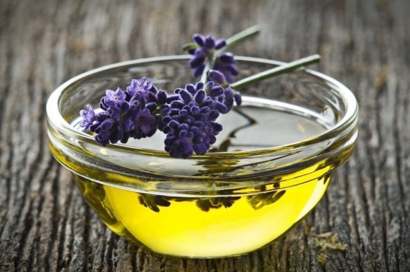 Lavándula Angustifolia o Lavanda Espliego
