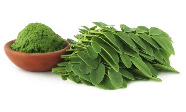 Para qué sirve la Moringa