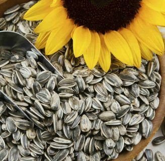 Recetas de semillas de girasol: Caramelizadas, saladas, sin cáscaras, leche y muchas más