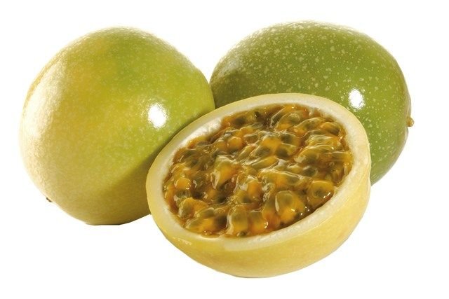 passiflora