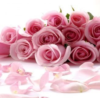 Rosas: Conoce su origen, significado, tipos y mucho más