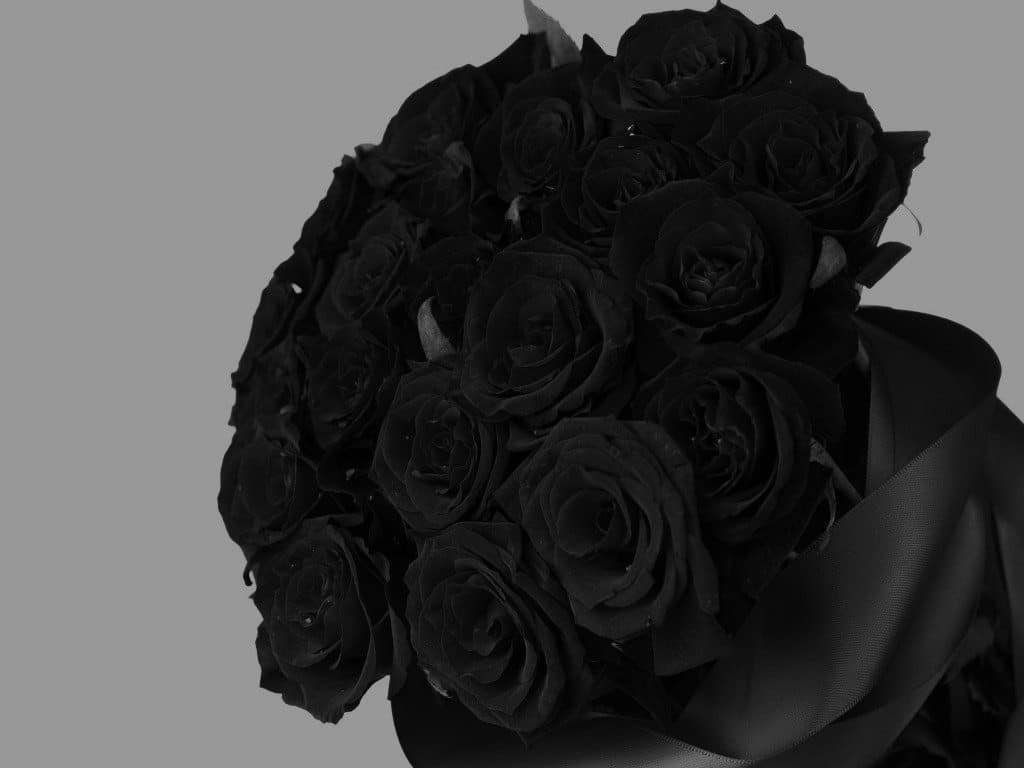 ramo de rosas negras de turquía