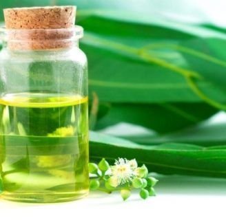 Aceite de Eucalipto: propiedades, beneficios, y mucho más