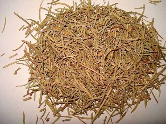 Romero Planta Medicinal