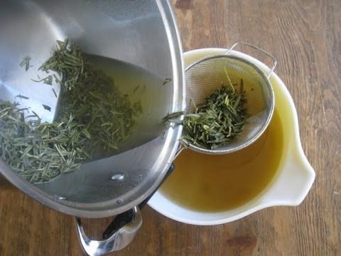 Romero Planta Medicinal