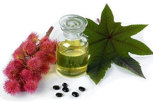 aceite de ricino 