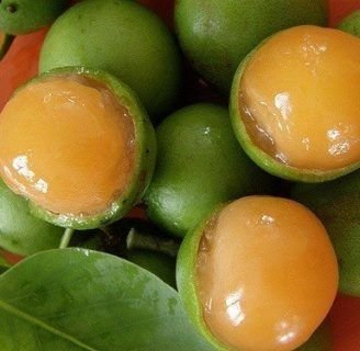 Conoce la Huaya: Propiedades, usos, beneficios, y más