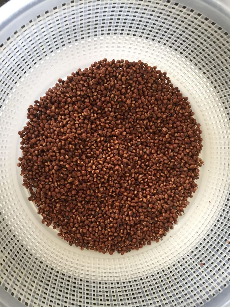 Anacahuita