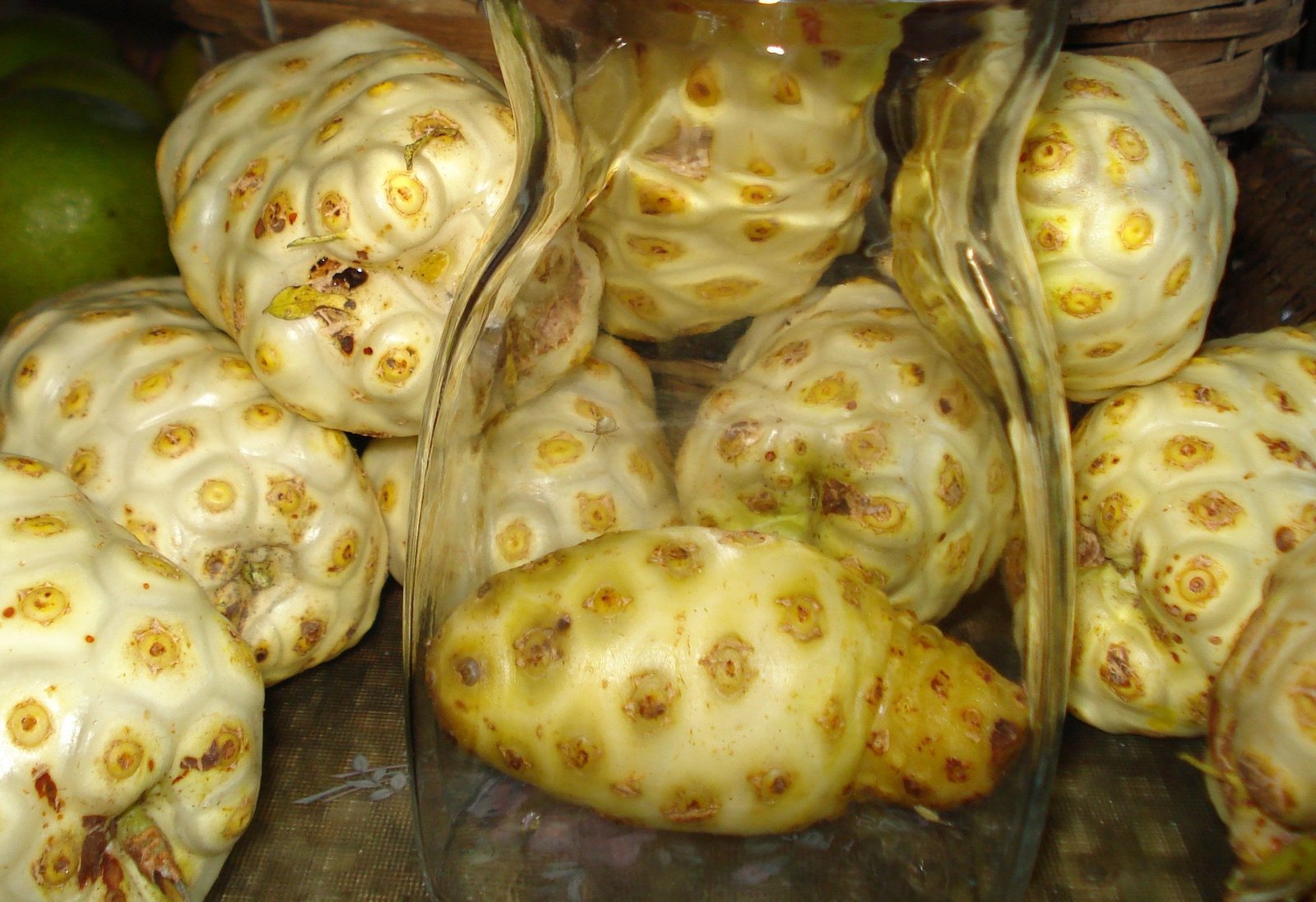 noni