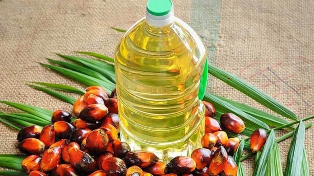 Corozo 20