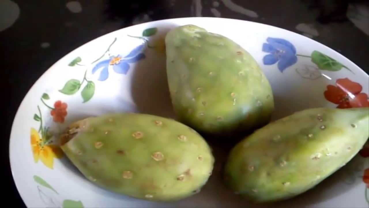 nopal