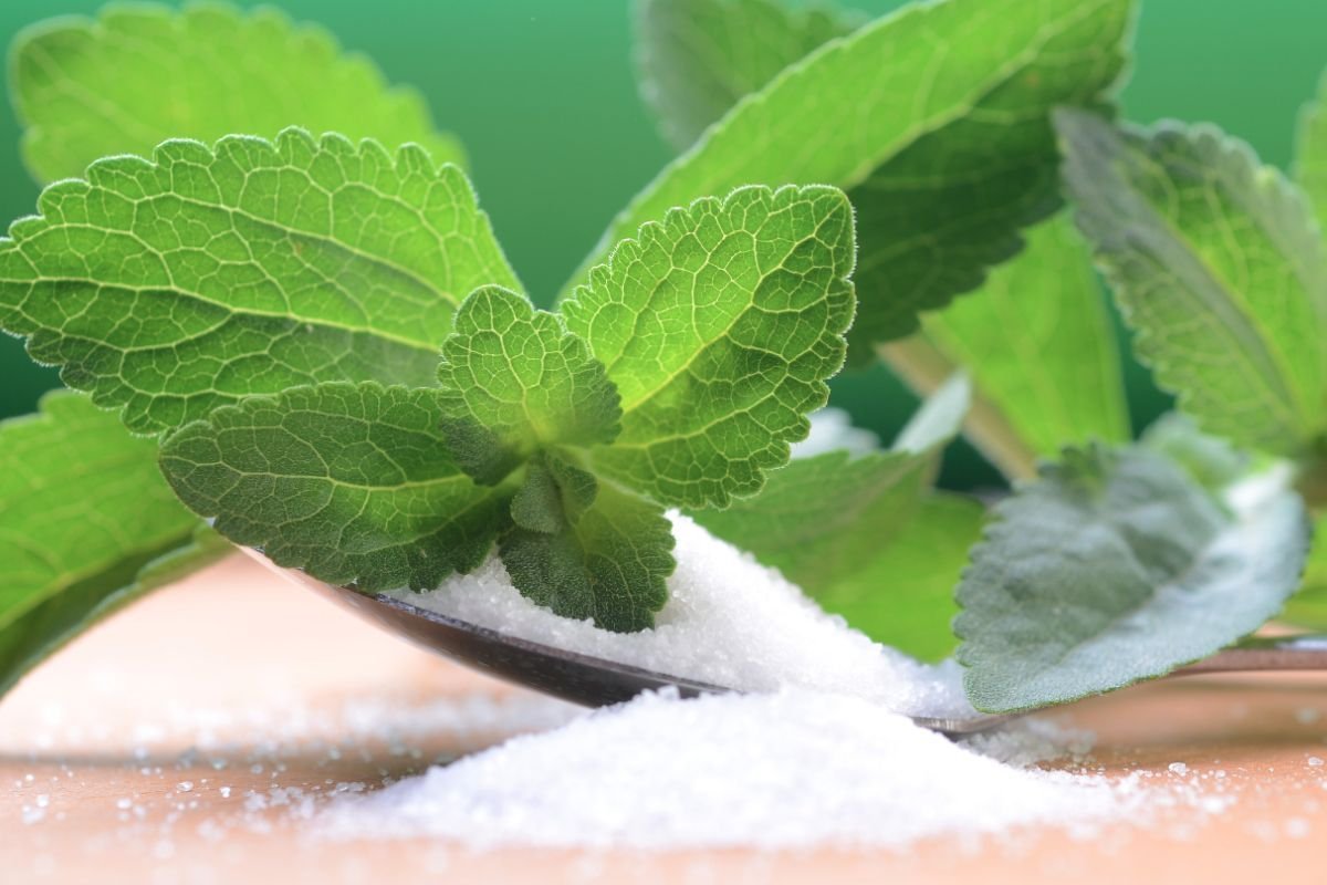 stevia