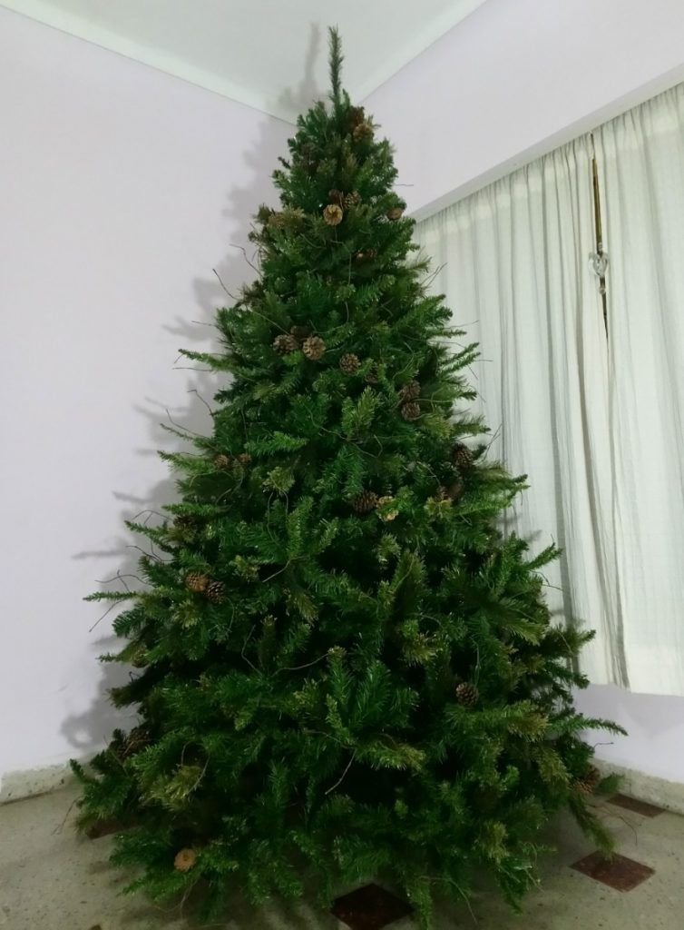 El Pino