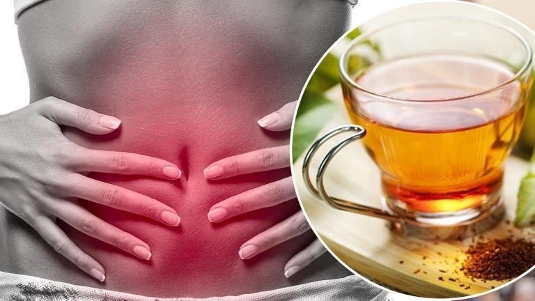 JOCOTE: propiedades, siembra, fruto, calorías y más