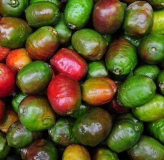 Jocote: propiedades, siembra, fruto, calorías y más