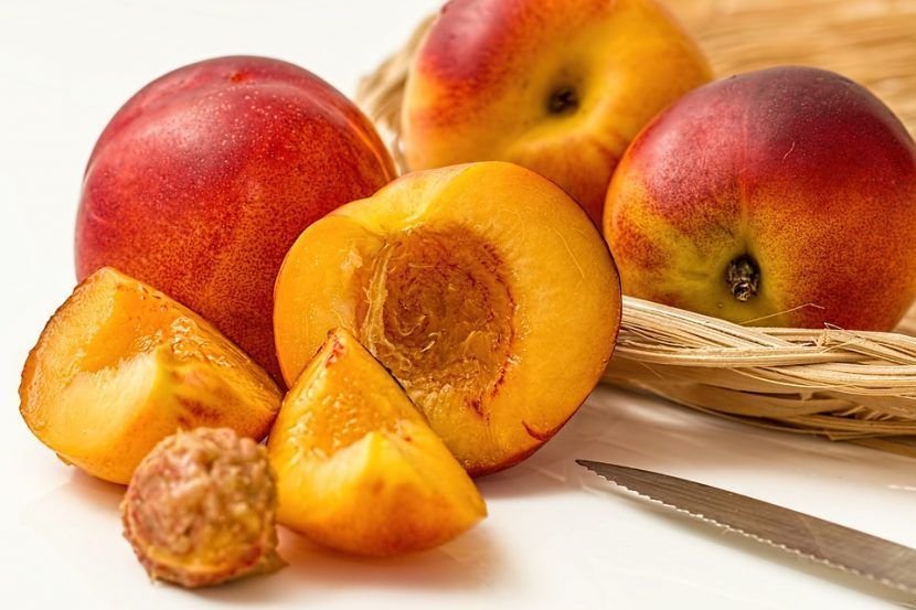 Prunus Persica